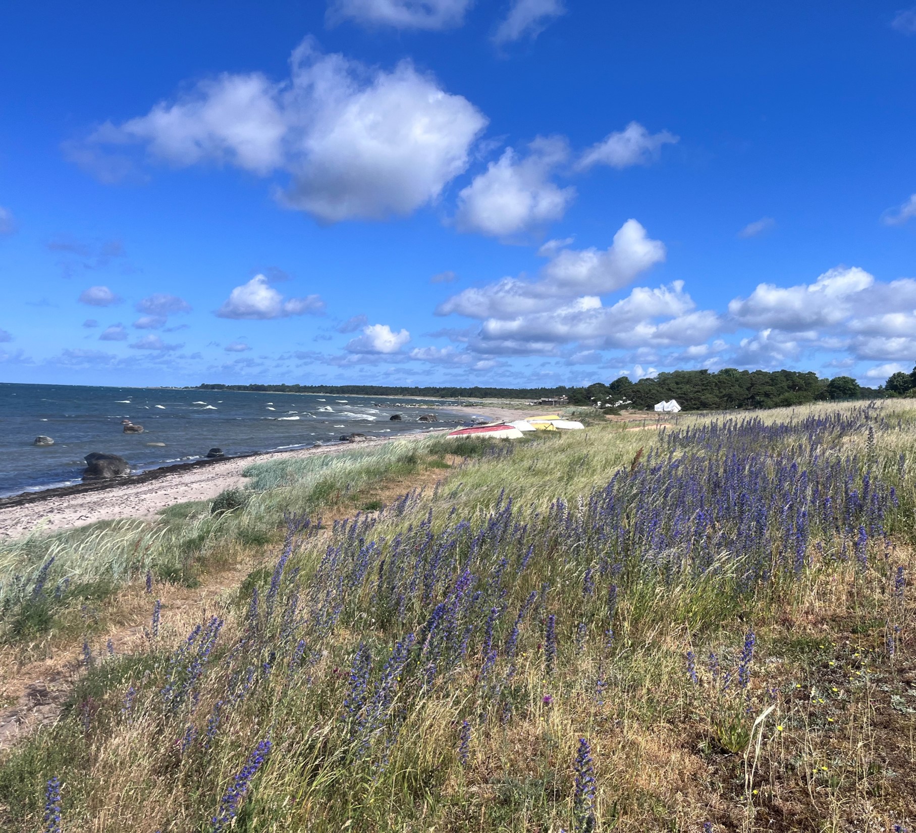 Stärkt lärande i Region Gotland